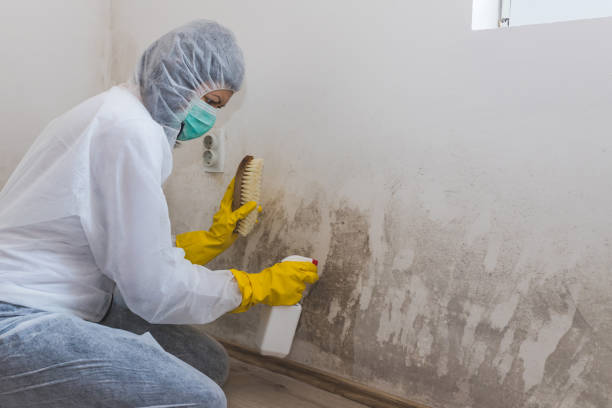 Best Residential Mold Inspection & Testing  in Roselle Park, NJ